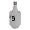 Wkładka topikowa DII gG 25A/500V 002312407